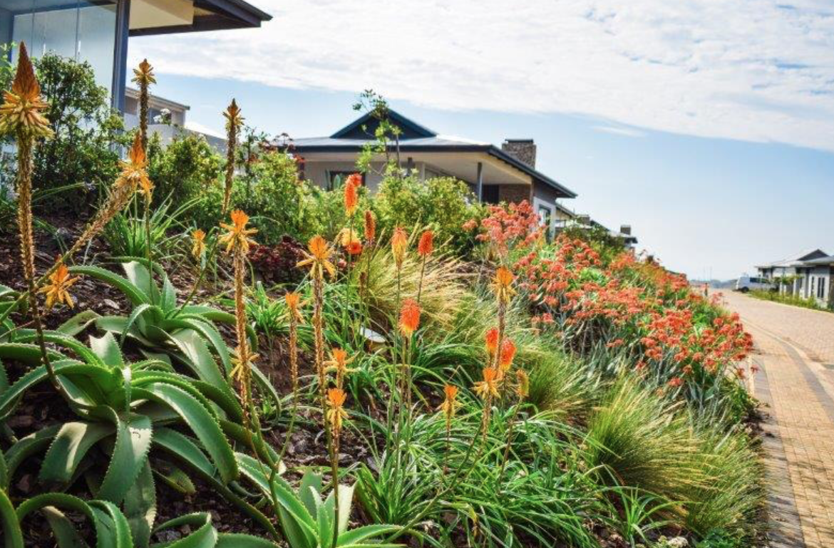 Renishaw Hills on the KZN South Coast is set to host the BotSoc Winter Gardens this July