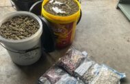Over 9,000 arrested in KwaZulu-Natal Province during police operations in June