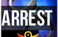 Suspected car thieves apprehended