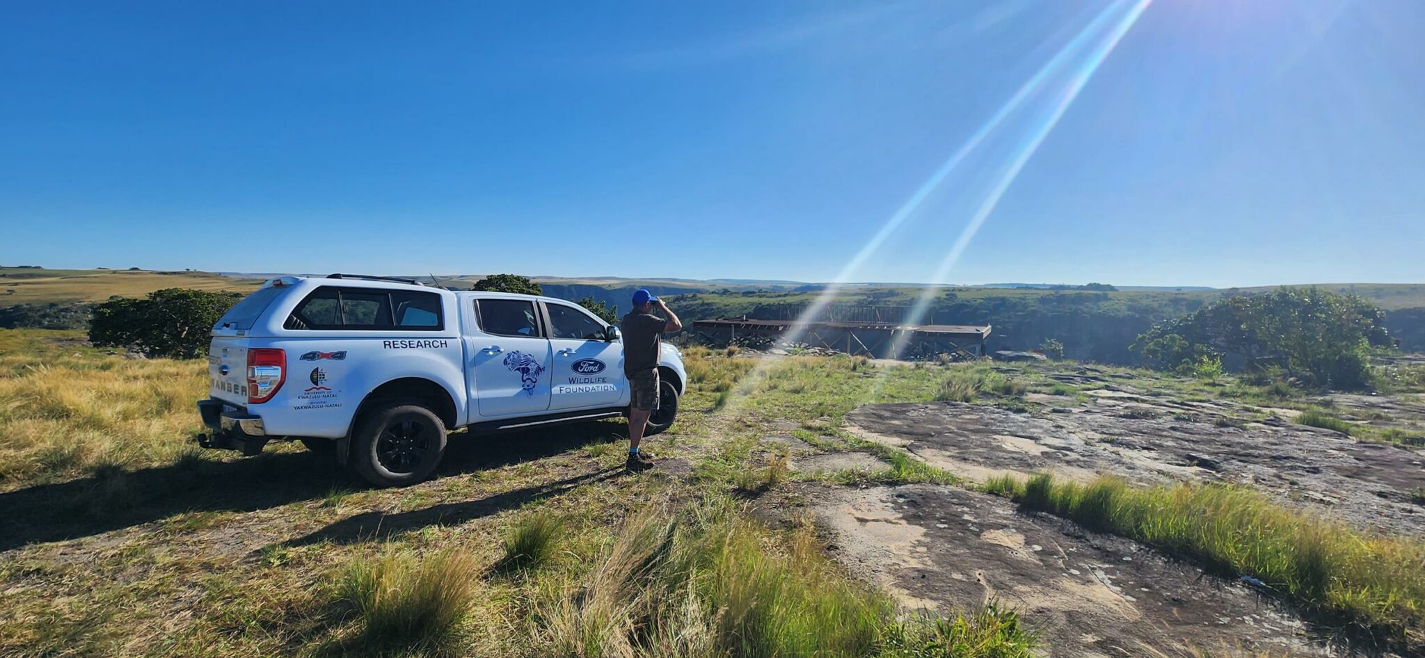 Soaring into Action for International Vulture Awareness Day - Ford Wildlife Foundation Empowers Cape Vulture Conservation