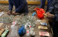 Operation Shanela proves its impact in crime hotspot areas in the Eastern Cape