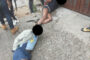Rooiberg police launch manhunt for unknown suspects of rhino poaching