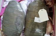 Police foiled new dagga smuggling strategy