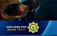 Nine stock theft suspects arrested in the North West Province