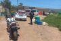 Two Meter Black Mamba Captured: Canelands - KZN
