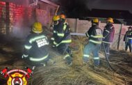 Thatch grass fire at a property in Bosmont