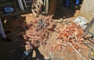Police recovered copper cables worth R15 0000 at a local scrapyard at Betrams in Jeppe