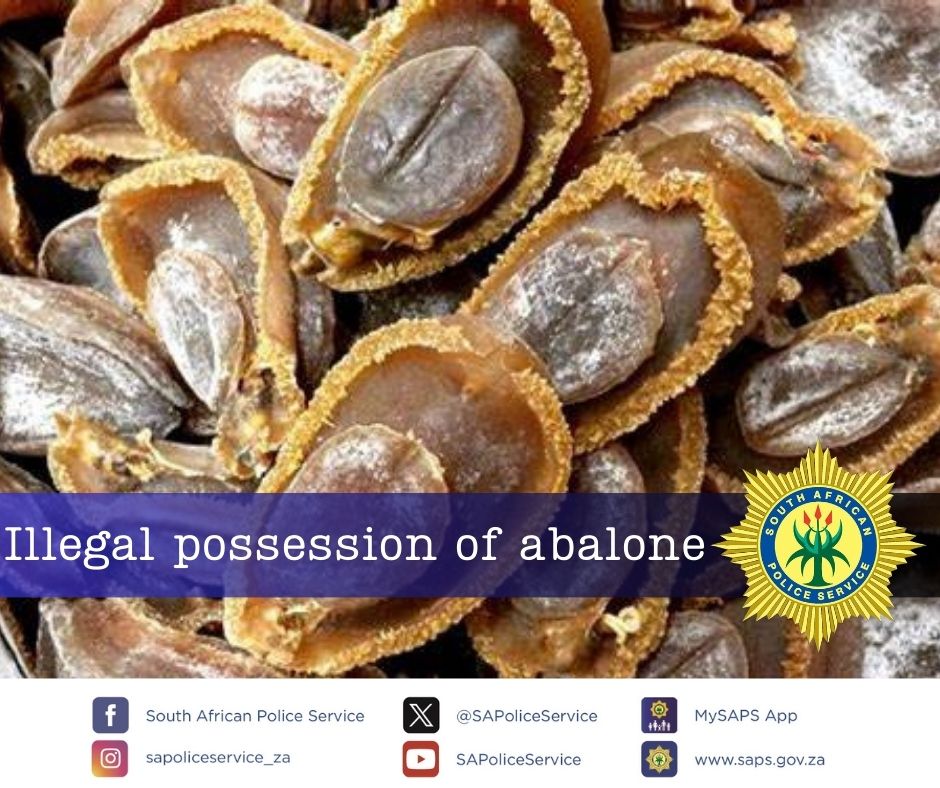 Male suspect (31) for illegal possession of 55 boxes abalone in Lephalale
