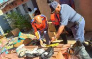 Multi-disciplinary disruptive operation Operation Shanela in Bloemfontein CBD