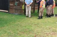 Exotic animals rescued in Benoni