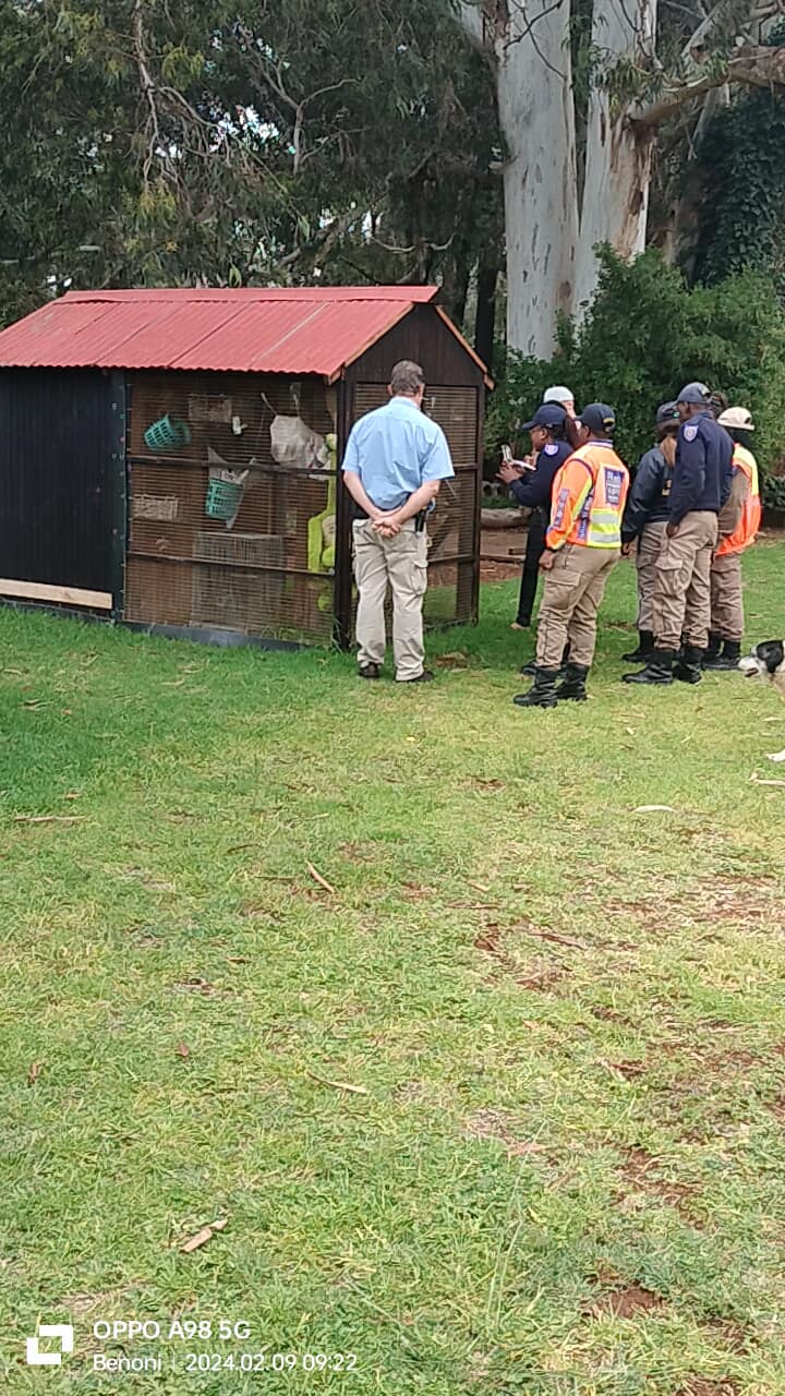 Exotic animals rescued in Benoni