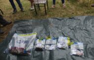 Two male suspects arrested for charges including possession of child pornography materials and possession of ammunition