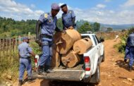 Police seize 36 phendukas during Operation Vala Umgodi in Sabie