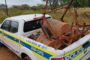 Suspect arrested for attempted theft in Pietermaritzburg CBD