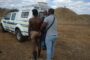 Limpopo police apprehended illegal miners through a disruptive operation Vala Umgodi and confiscated mining equipment