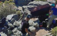 Hikers, climbers, and nature lovers participated in the 2024 Table Mountain clean-up