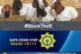 Suspects heading to court for possession of a hijacked vehicle and imitation firearm