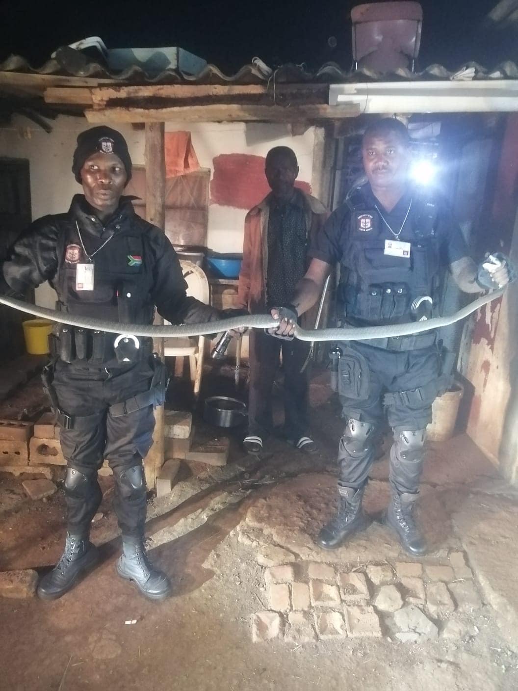 Two black mambas captured in Verulam