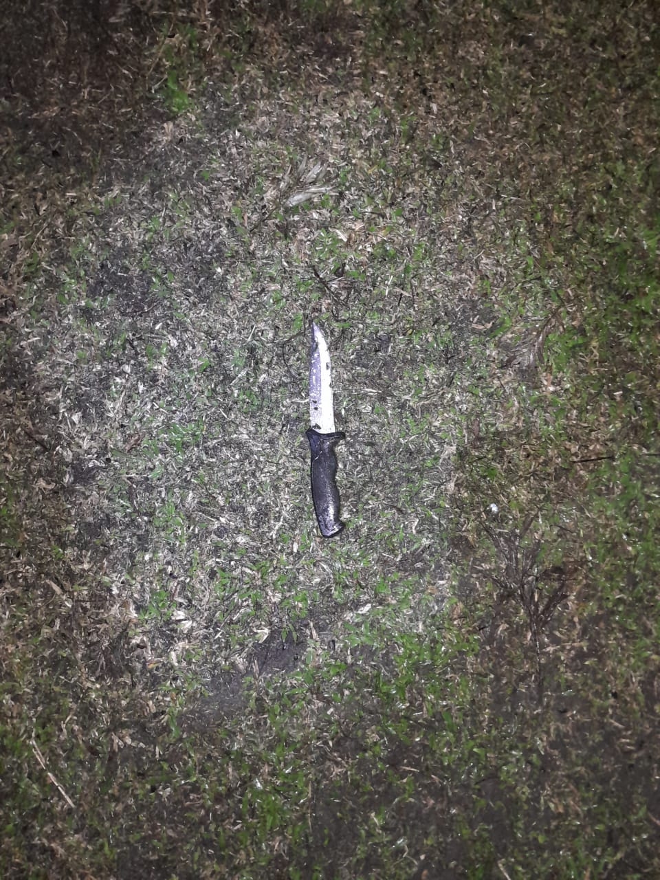 Housebreaking thief stopped in his tracks in South Coast