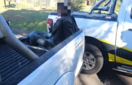 Suspect apprehended for theft and housebreaking