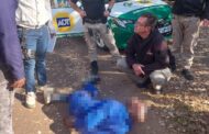 Robbery suspect arrested by security companies