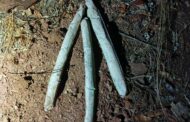 Three undocumented persons arrested for illegal mining in Polokwane