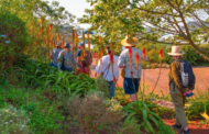 Elsa Pooley shares 4 winter garden tips following Botanical Society tour at Renishaw Hills