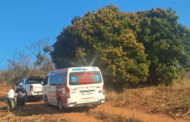 Man found hanging from a tree in Emona