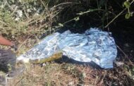 Missing man found deceased in Ndwedwe