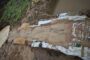 Operation Vala Umgodi confiscates suspected stolen diesel