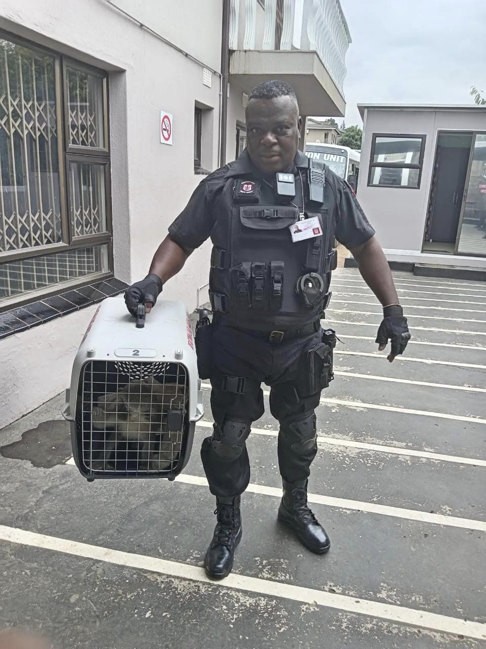 Injured monkey rescued in Southridge