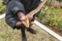 Theft of vehicle in Musgrave