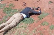Swift response by the police leads to the arrest of business robbery suspects