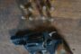 A 15-year-old teen has been shot dead in Elsies River