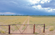 Two Mozambican nationals arrested after a farm attack whereby a woman was murdered