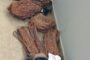 One suspect arrested and stolen vehicle recovered in Durban