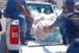 Police nab seven suspects possibly linked to robberies, including that of hitchhikers, two firearms seized