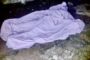 Theft of vehicle in Mhlasini