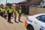 2.5 Meter Black Mamba captured in Waterloo