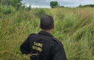 Missing Female Found Deceased