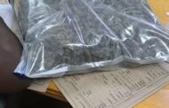 Suspect arrested for allegedly selling dagga to children in the nearby Dali Mpofu informal settlement
