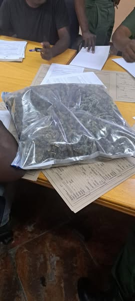 Suspect arrested for allegedly selling dagga to children in the nearby Dali Mpofu informal settlement