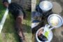 Operation Vala Umgodi in Limpopo led to the arrest of seven suspects