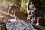 Four suspects arrested for double murder and illegal firearms in Gqeberha