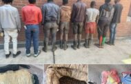 Operation Vala Umgodi nets eight suspects for contravention of the Immigration Act and for possession of gold-bearing material