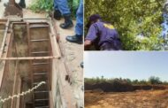 Police deployed under Operation Vala Umgodi in Limpopo arrested 13 undocumented foreign nationals