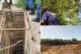 Police deployed under Operation Vala Umgodi in Limpopo arrested 13 undocumented foreign nationals