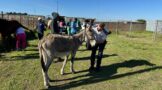 Atlantis Equine Outreach Project: A day dedicated to supporting horses and the communities that rely on them