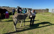 Atlantis Equine Outreach Project: A day dedicated to supporting horses and the communities who rely on them
