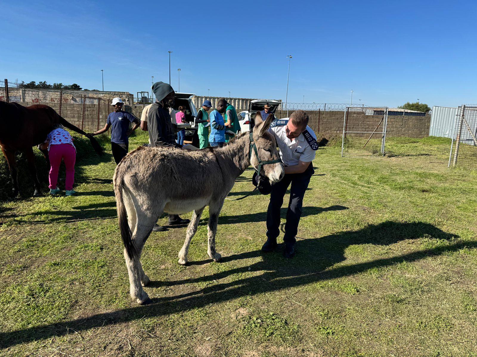 Atlantis Equine Outreach Project: A day dedicated to supporting horses and the communities that rely on them